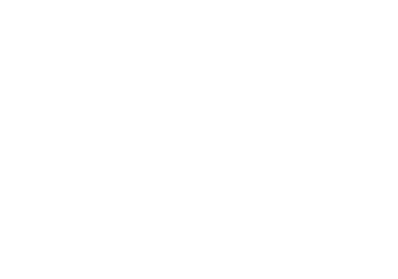 webflow-partner